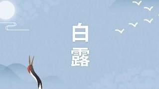 伟德体育